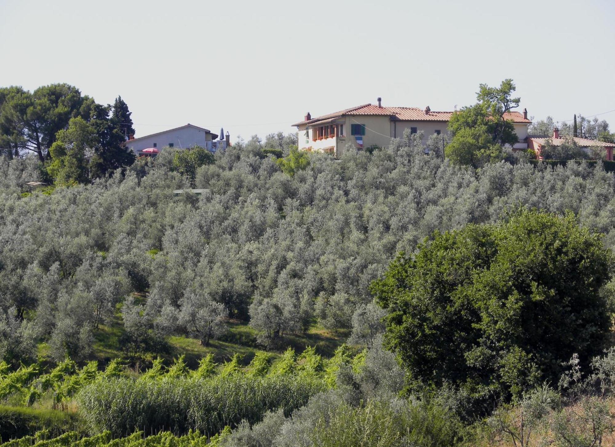 Agriturismo Podere Zollaio Вінчі Номер фото