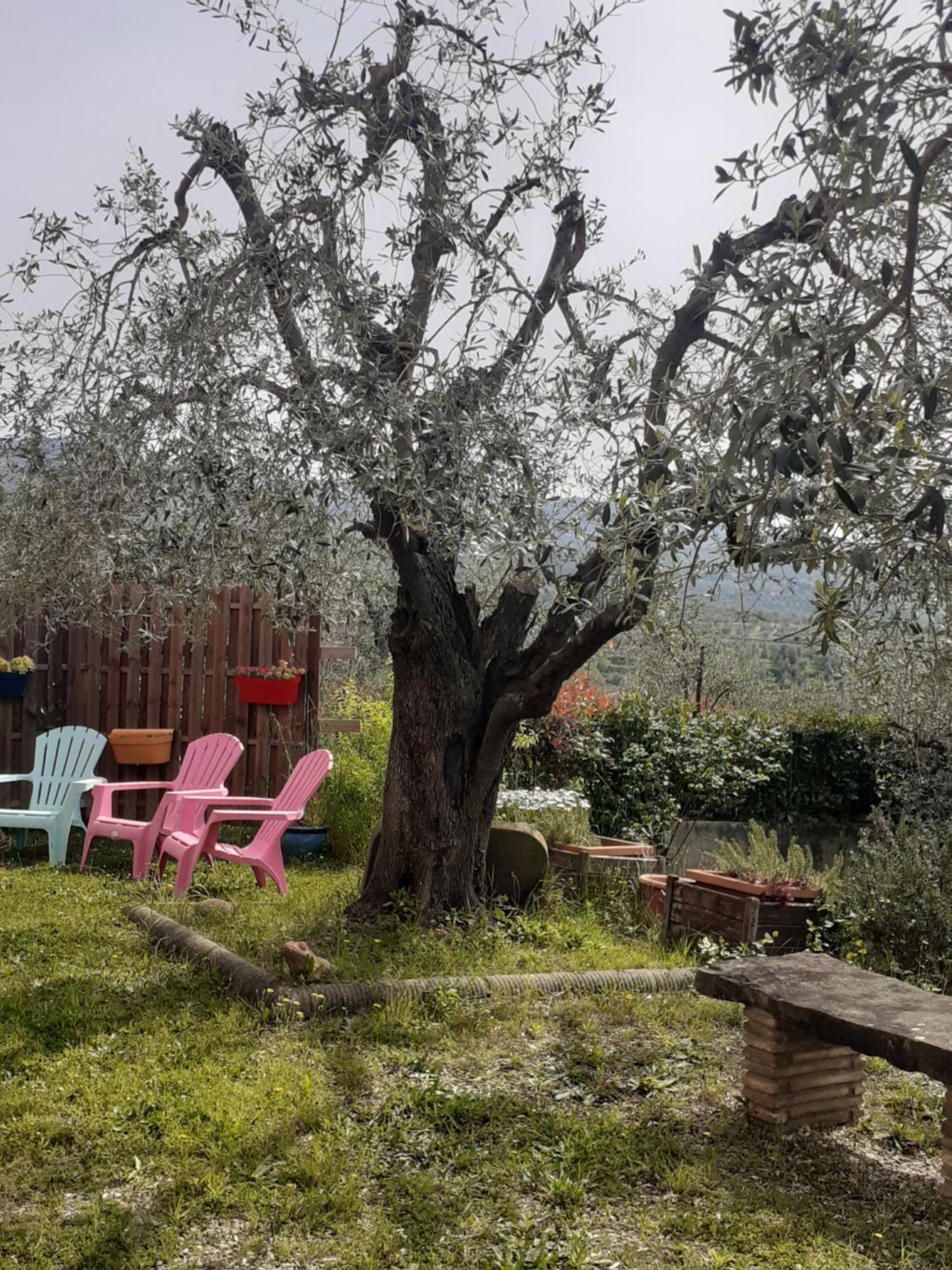 Agriturismo Podere Zollaio Вінчі Екстер'єр фото